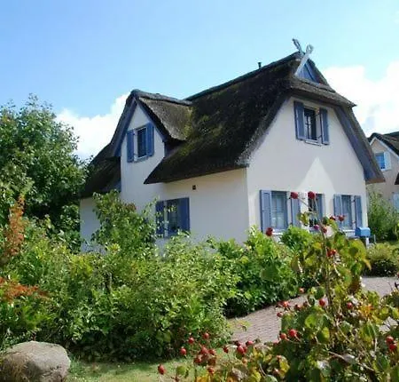 Hagebutte