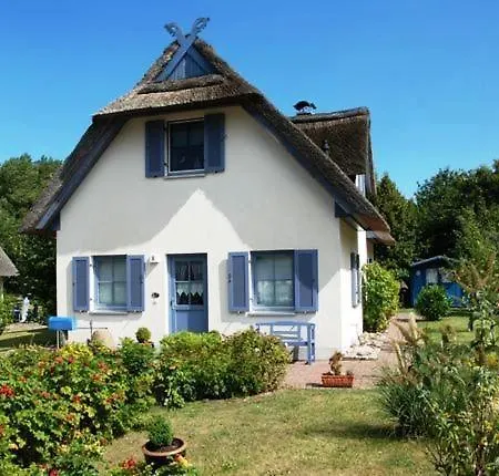 Hagebutte Am Schwarzen Busch