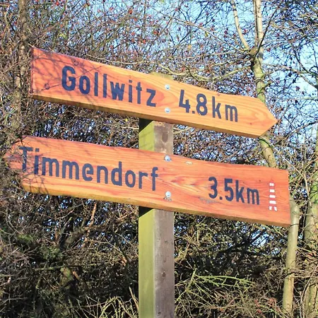 Hagebutte Am Schwarzen Busch
