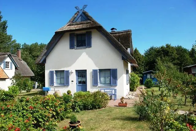 Hagebutte Am Schwarzen Busch